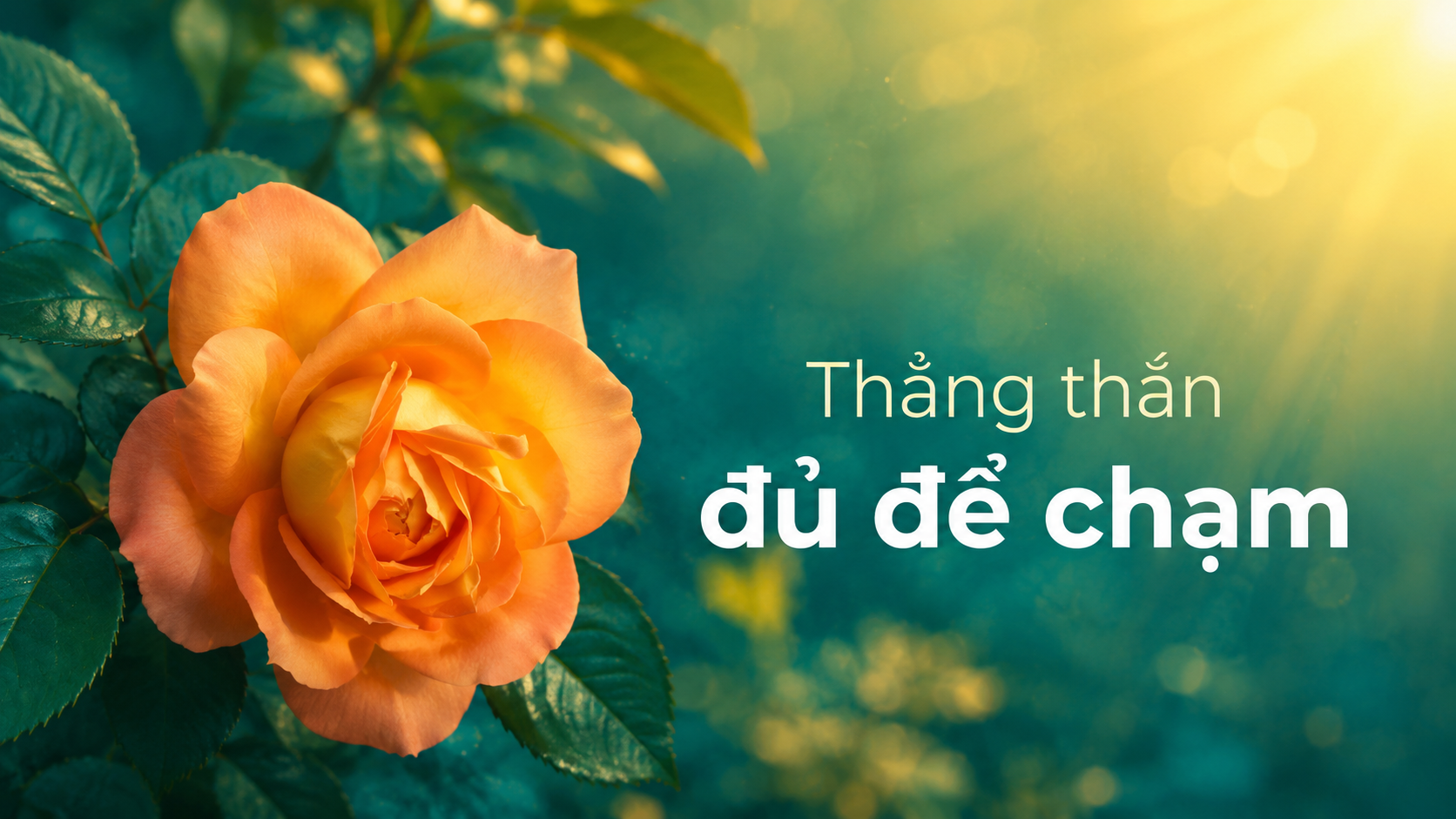 Thẳng thắn đủ để chạm, mà không làm tổn thương người khác